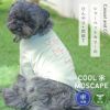 iDogCOOL+MOSCAPEロゴプリントメッシュTシャツ接触冷感防蚊アイドッグ