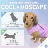 COOL+MOSCAPEとは