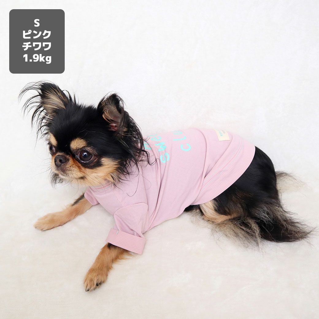 チワワ1.9kg(首19/胴29.5/丈21.5cm)のウメちゃんはピンクのSを着用