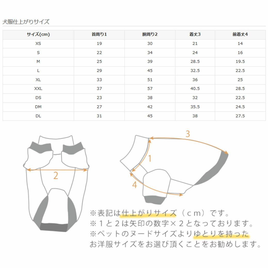 サイズ表
