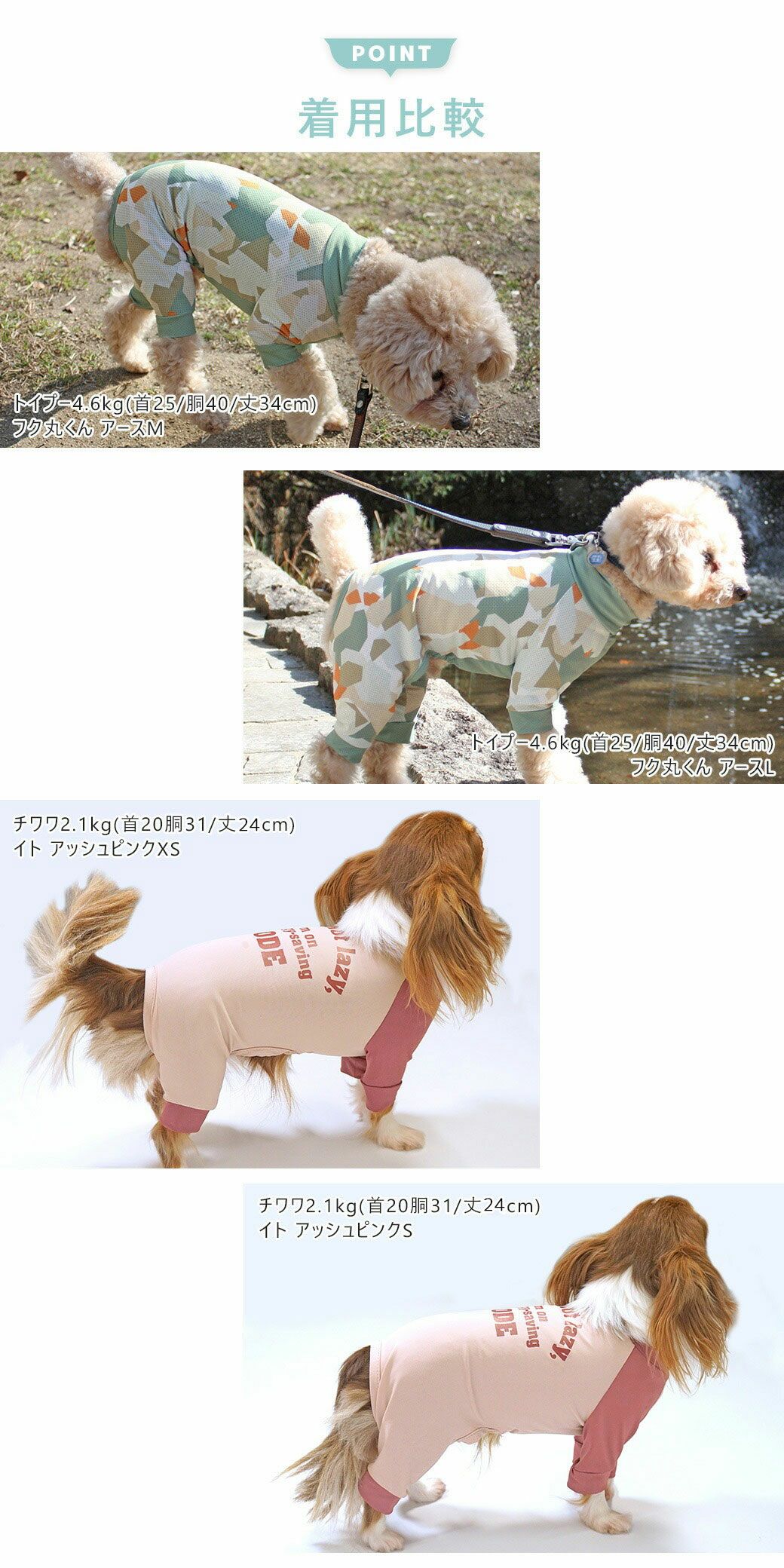 サイズ比較