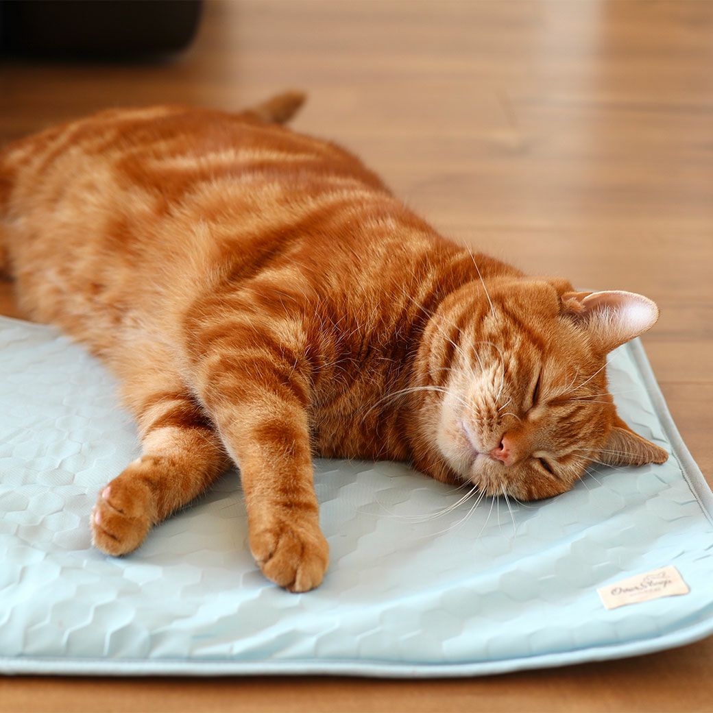 寝返りのたびにひんやり感が長続き