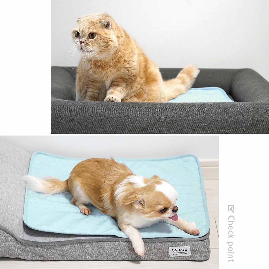別売りのベッドと合わせてご使用いただけます