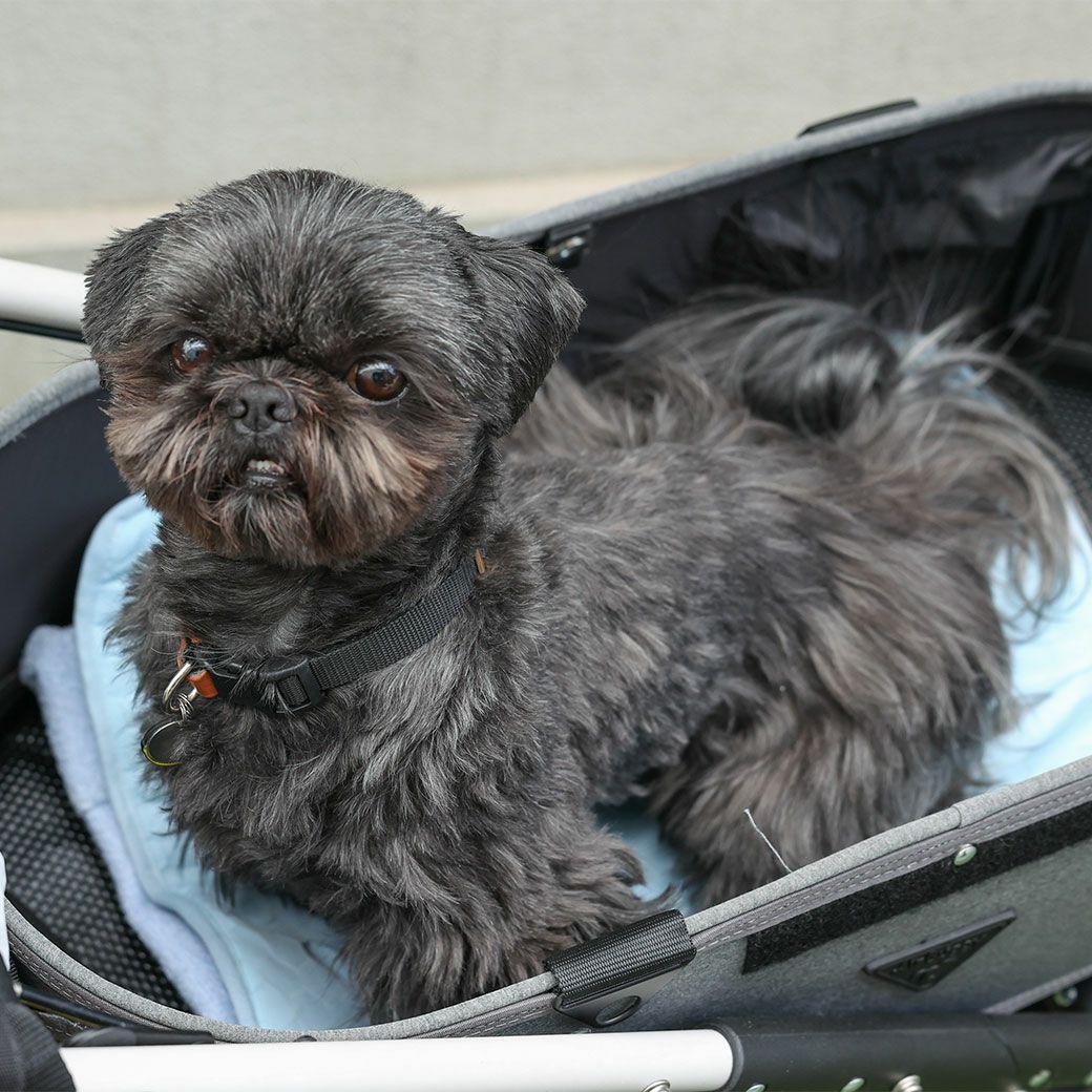 Mサイズは大きめキャリーバッグやカートでの利用にもピッタリです