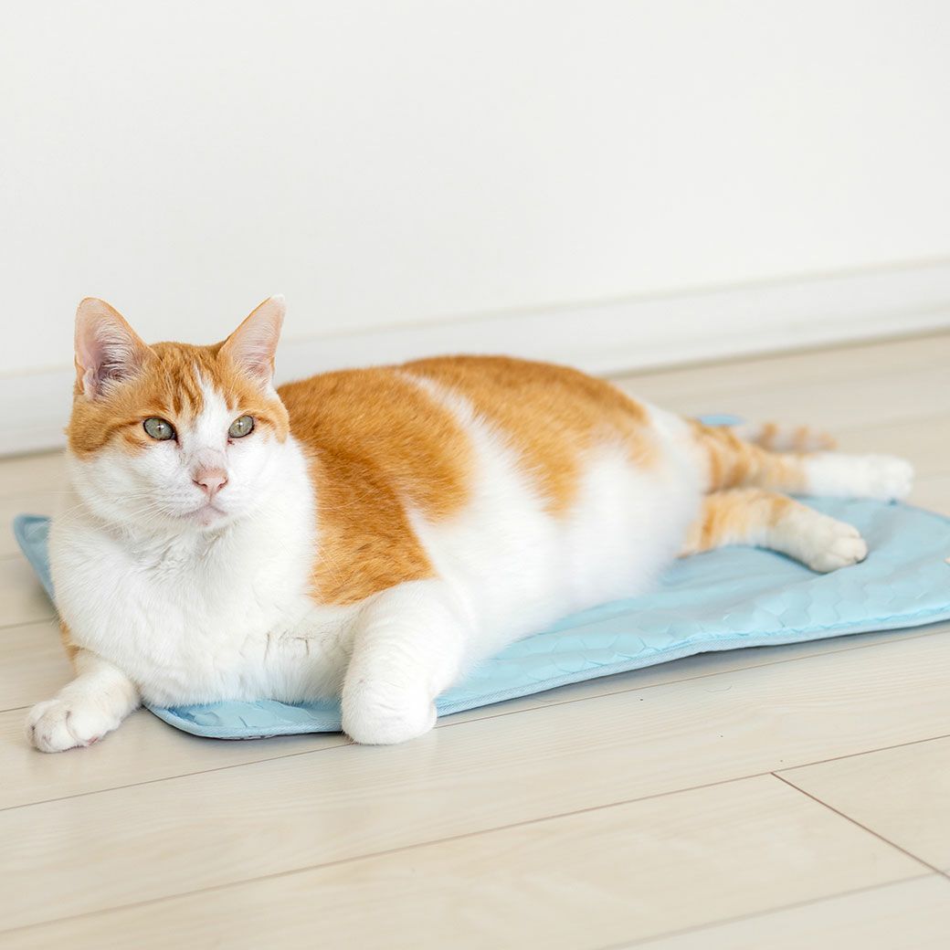 寝返りのたびにひんやり感が長続き