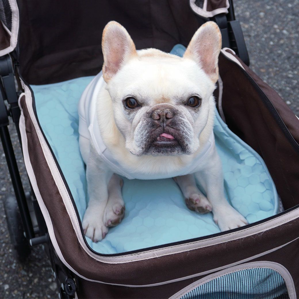 大きめキャリーバッグやカートでの利用にもおすすめです。
