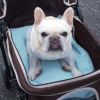 大きめキャリーバッグやカートでの利用にもおすすめです。
