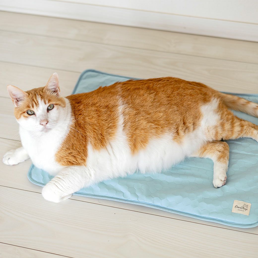 MIX8.6kgのゆづるくん使用