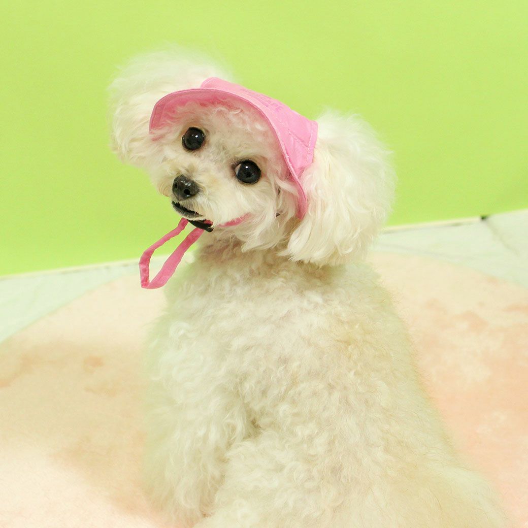 蚊が多い季節の必需品！