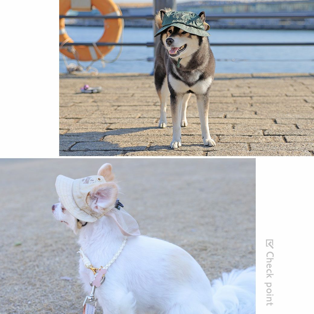 軽さと耐久性を重視の軽い素材