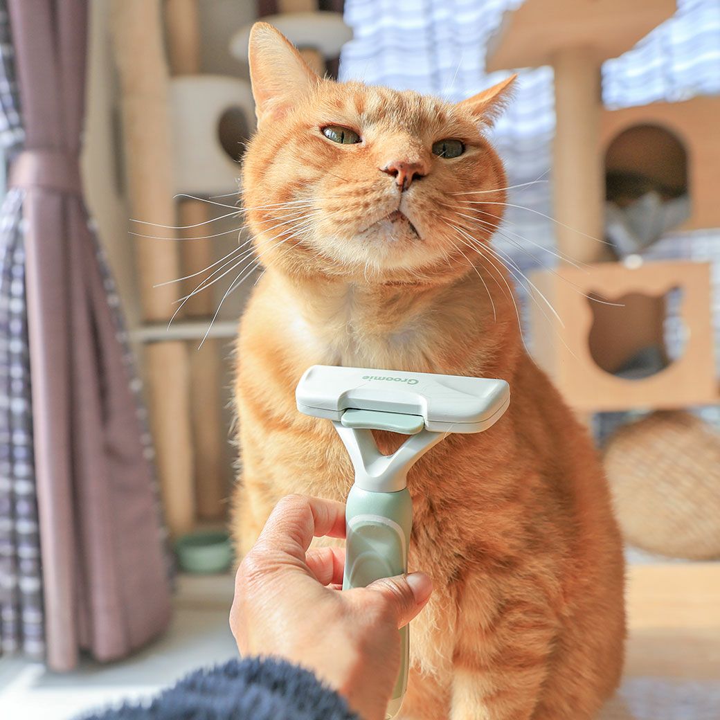 MIX8.0kgの虎太郎くんが使用