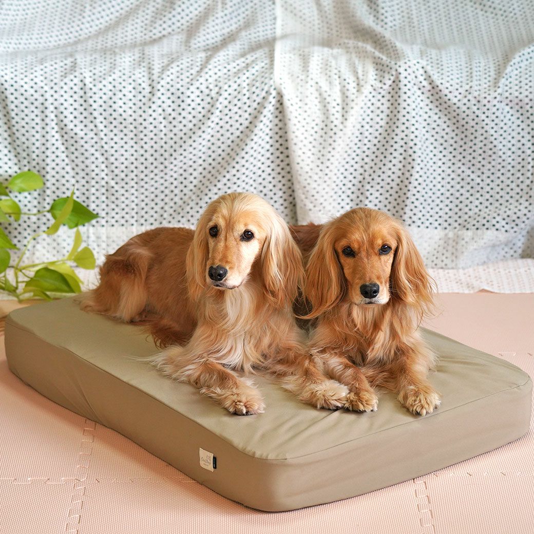 リラックスできる場所をより快適に