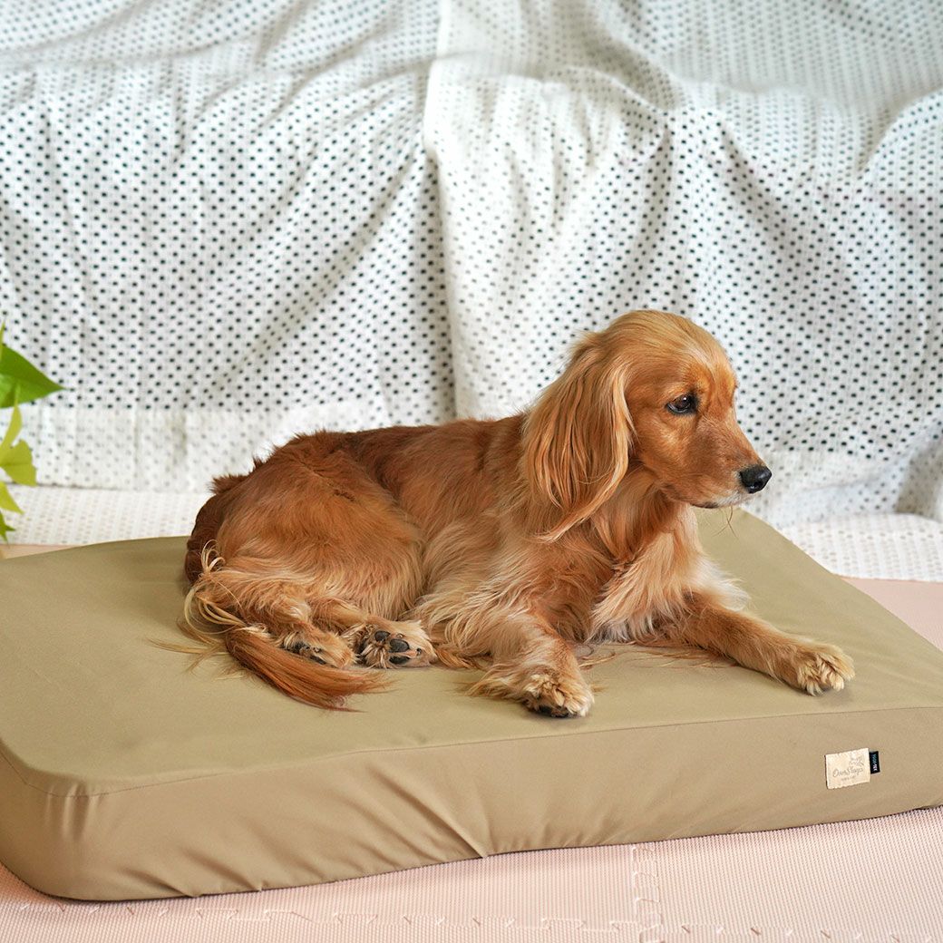 ベッドと敷きパッド併用イメージ