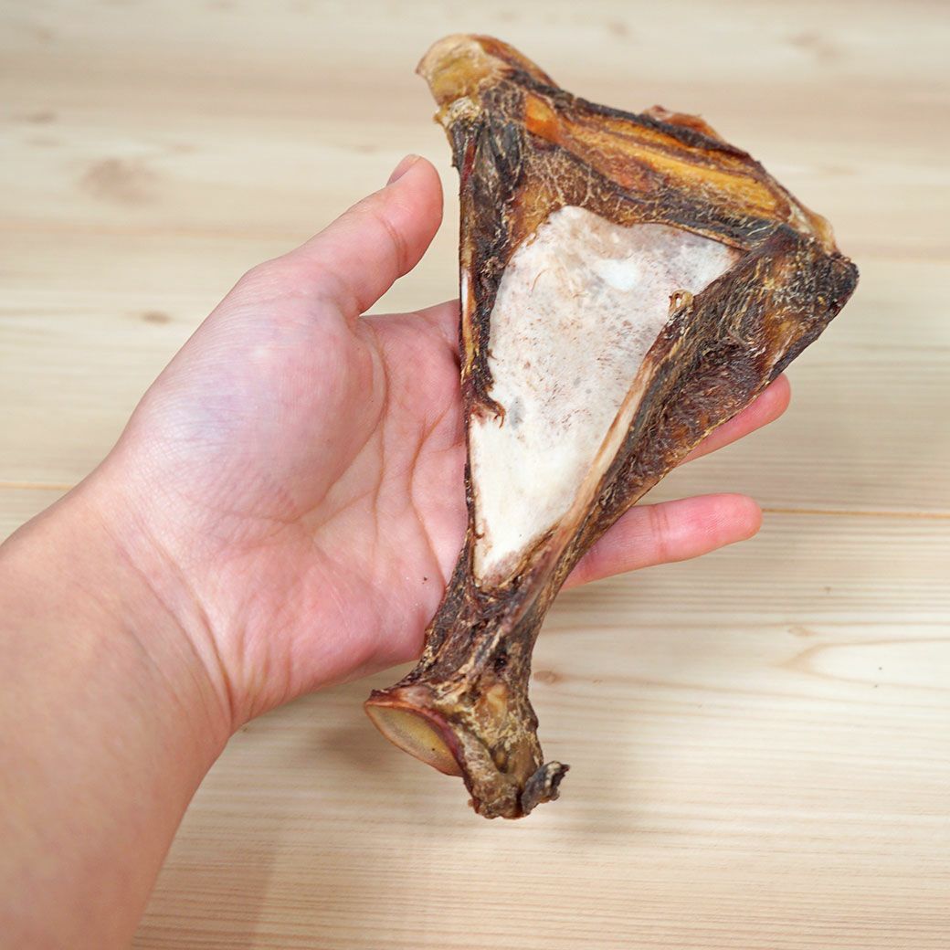 手に持った状態