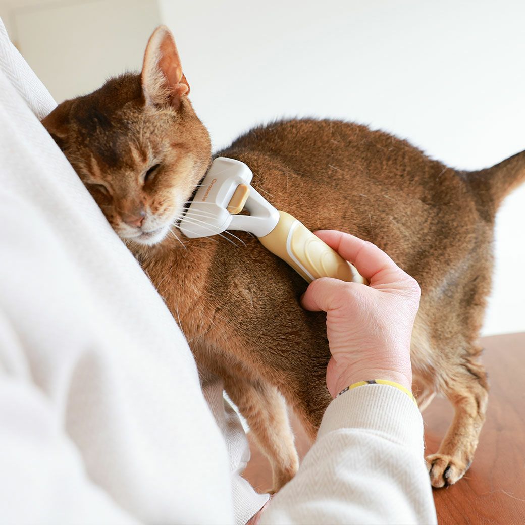 金属部分はステンレス製です