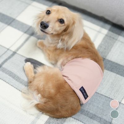 犬服・ドッグウェア・ペットグッズ公式通販サイト | IDOG&ICAT