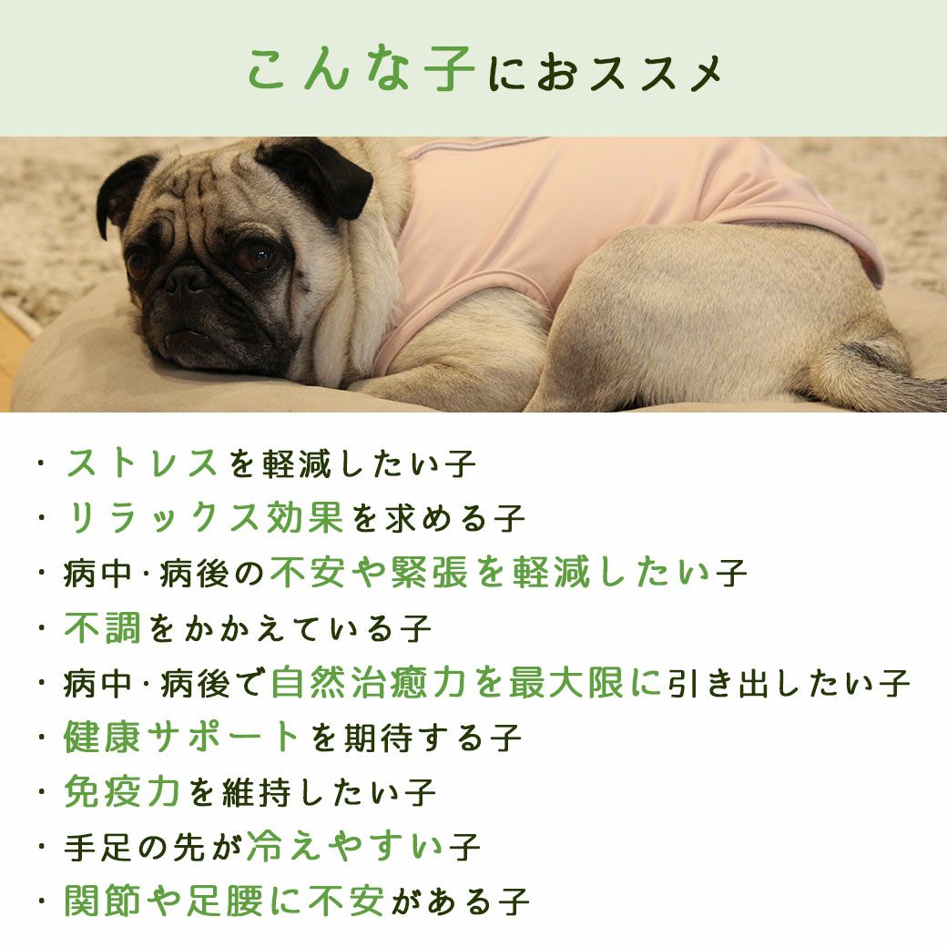 こんな子におススメ