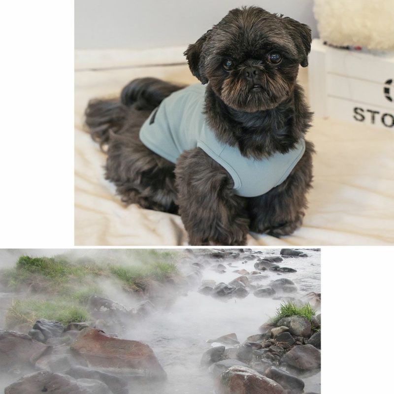 iDog UNAGE SPA 背中開きタンク アイドッグ-犬猫ペット用品通販