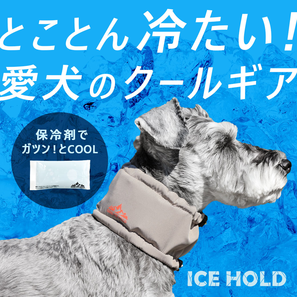 IDOGICEHOLDネッククーラー保冷剤付
