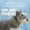 ひんやり長持ち！安全なオリジナル保冷剤付