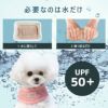 必要なのは水だけ！