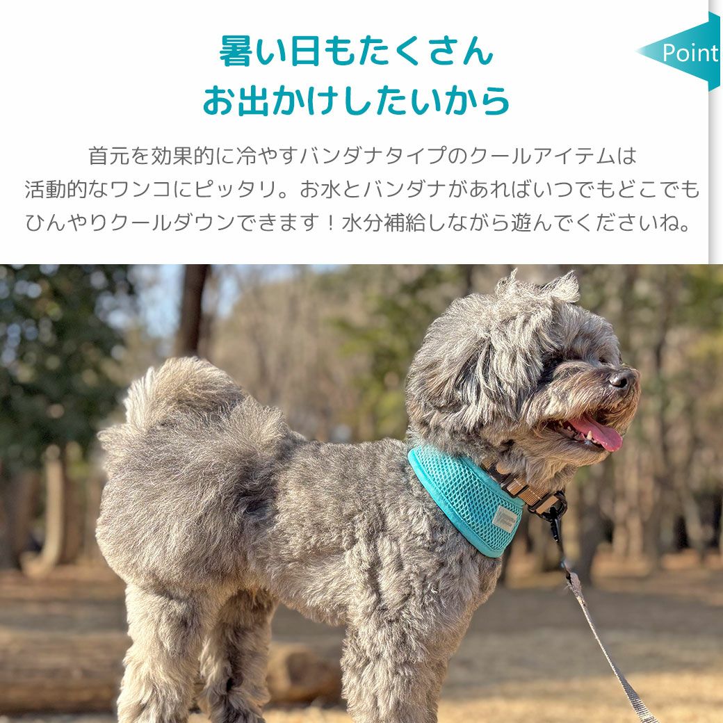 暑い日もたくさんお出かけしたいから