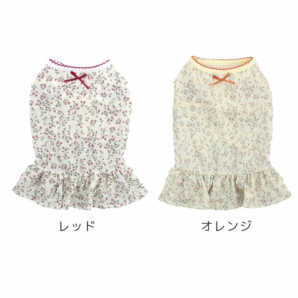 全2カラー