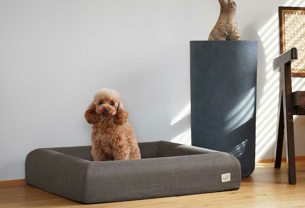 ペットが快適に過ごせる場所を