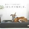 IDOG&ICATレストキューブベッドLサイズアイドッグ