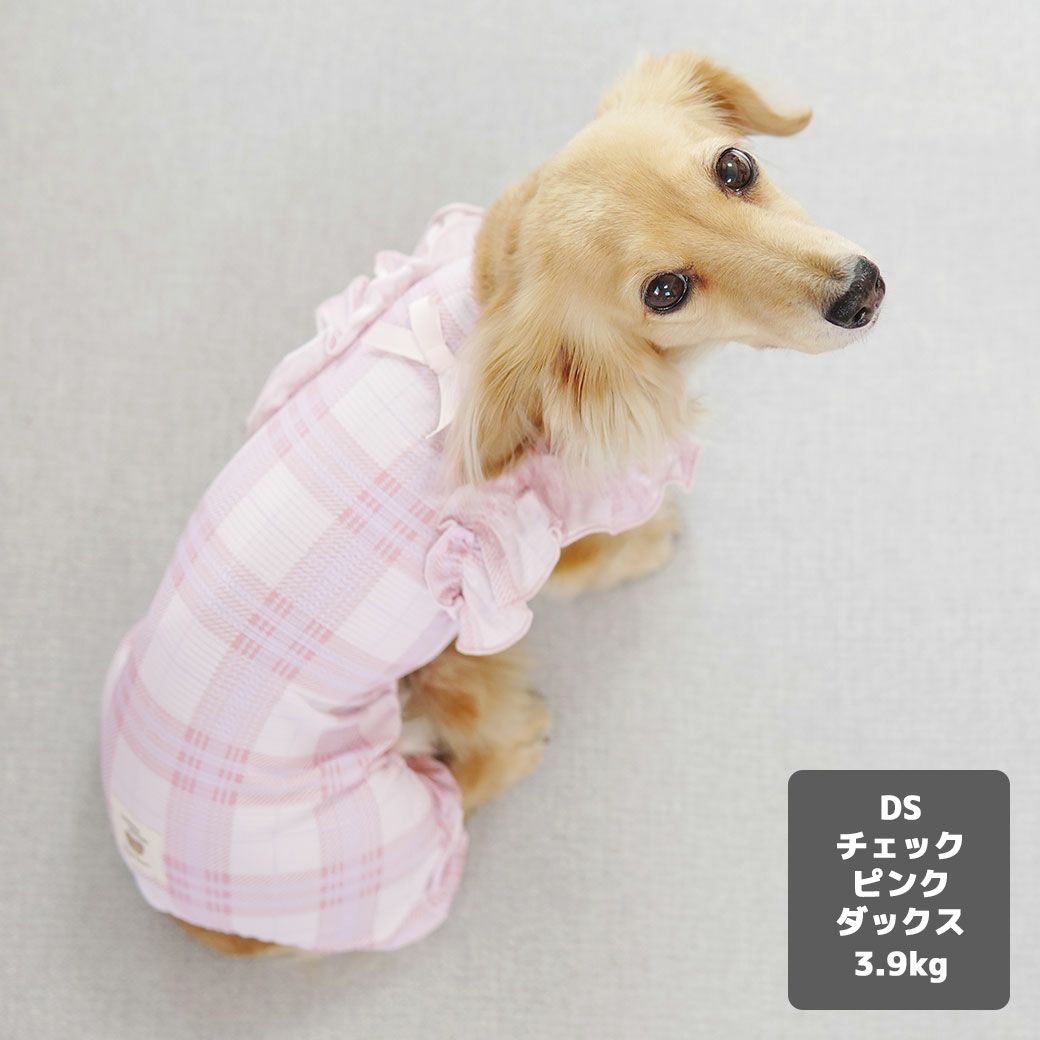 ミニチュアダックス3.9kg(首25/胴37/丈31cm)のクムちゃんはチェックピンクのDSを着用