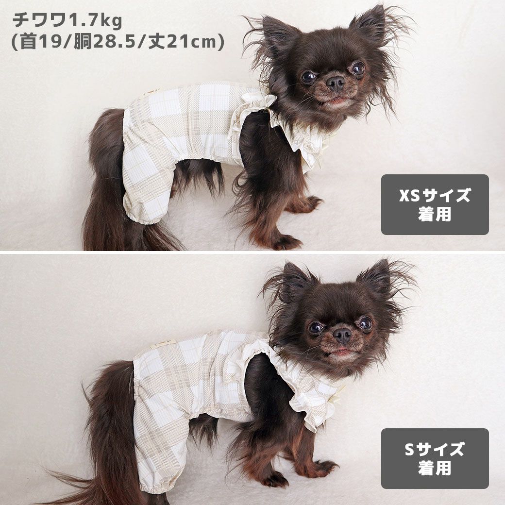 チワワ1.7kg(首19/胴28.5/丈21cm)の小桃ちゃんはチェックグレーのXSとSを着用