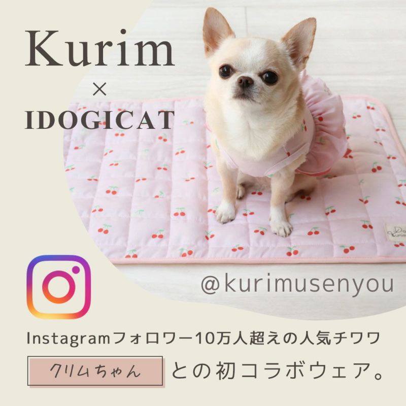 iDog iDog×Kurimu チェリーキルトマット アイドッグ-犬猫ペット用品 