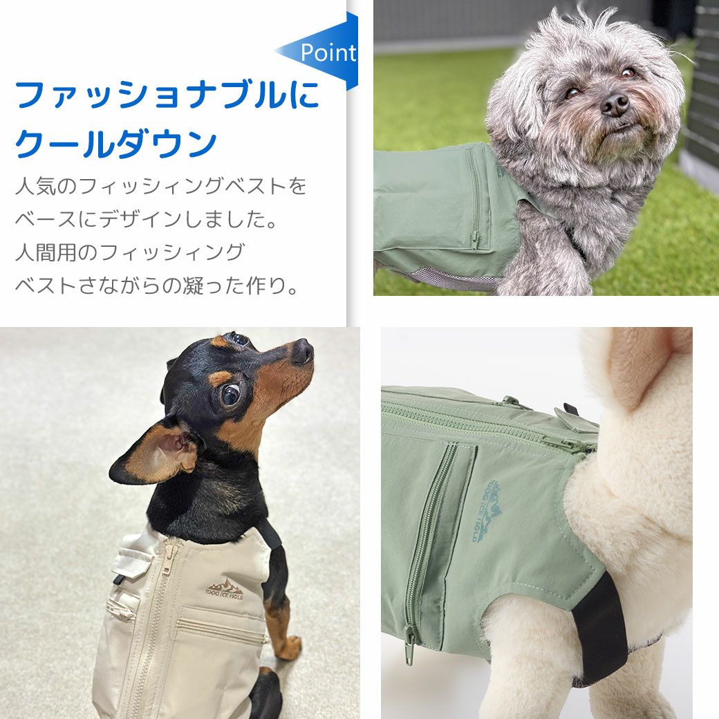 ファッショナブルにクールダウン