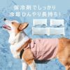 ひんやりを持ち運ぼう！安全なオリジナル保冷剤付