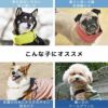 こんな子におすすめ