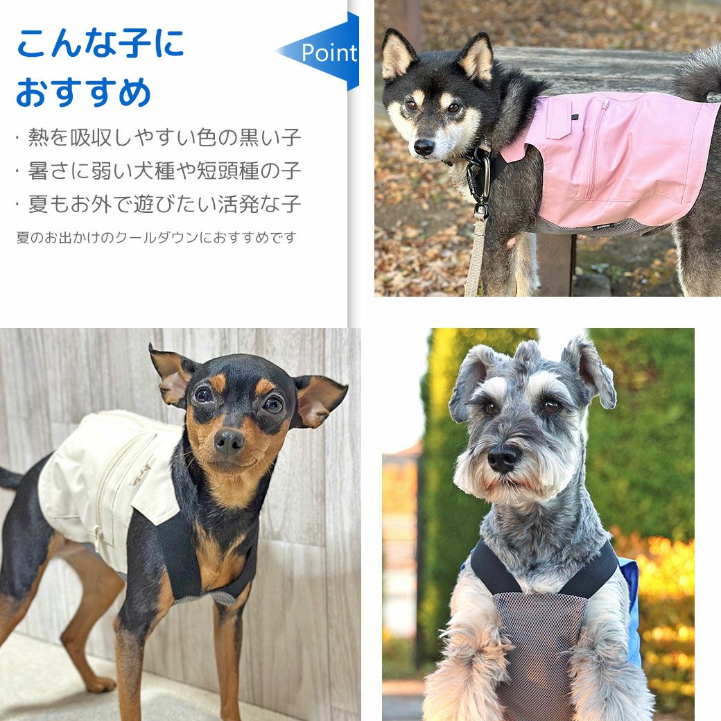 こんな子におすすめ