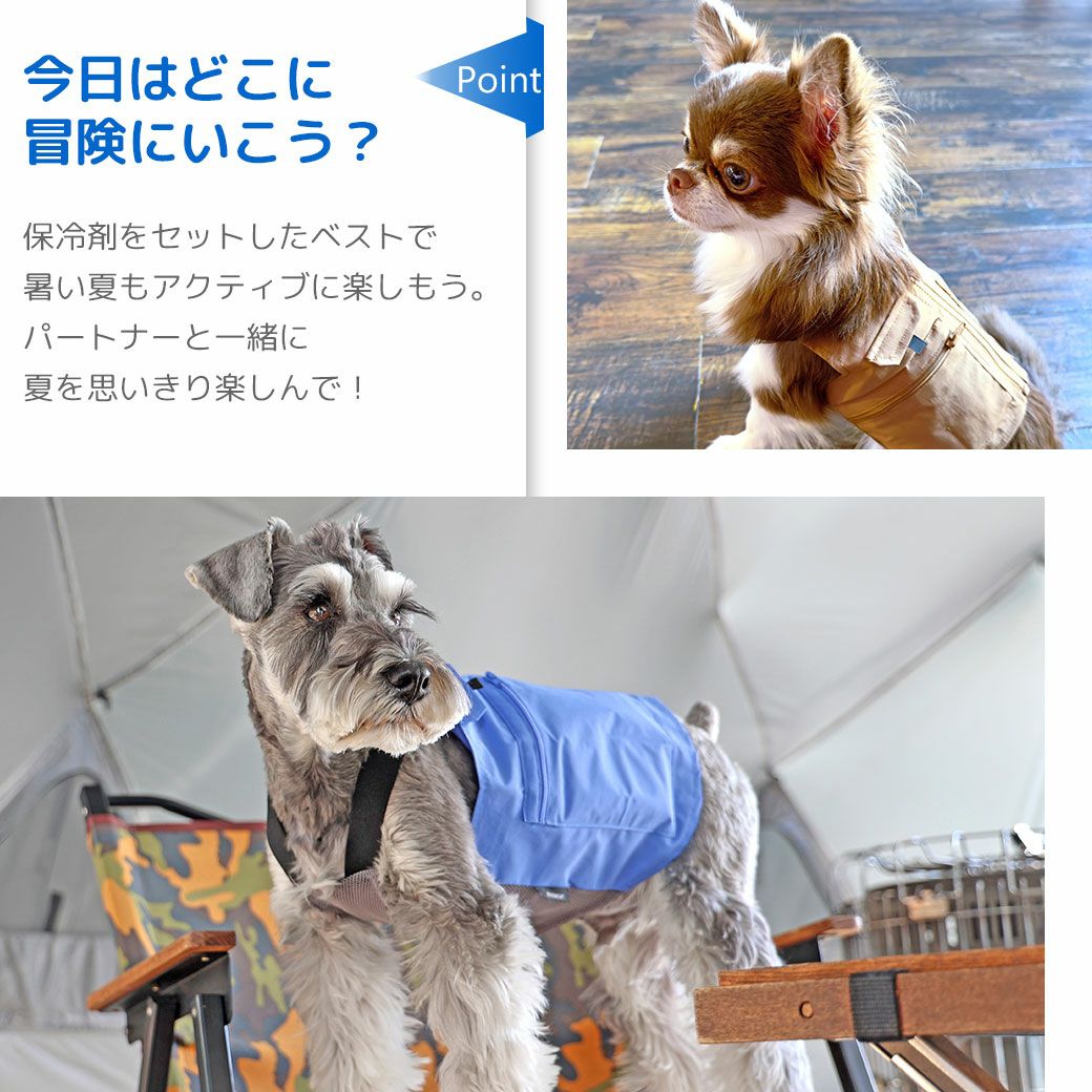 さあ今日はどこに冒険にいこう