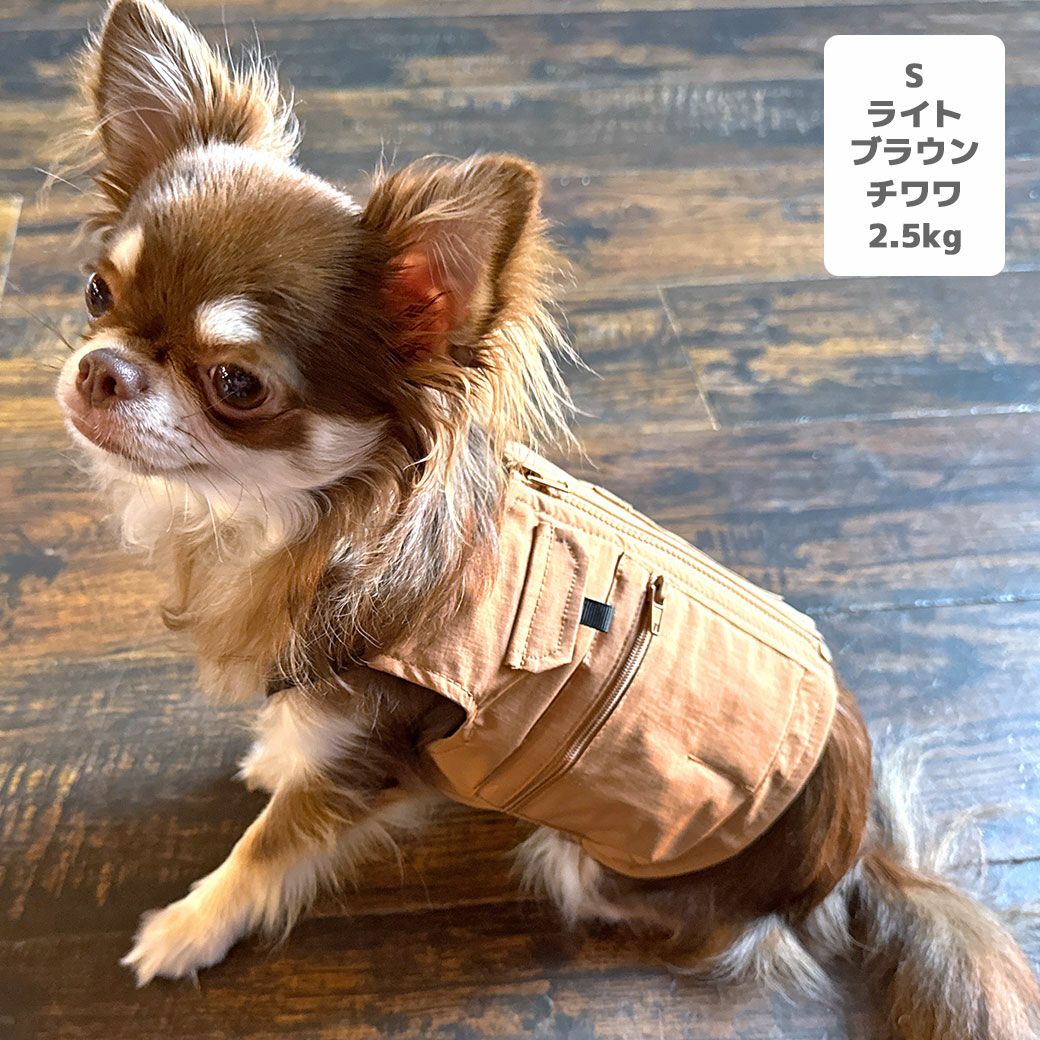 チワワ2.5kg(首18.5/胴30/丈30cm)のピクルスくんはライトブラウンのSを着用