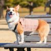 コーギー10.6kg(首36/胴51/丈37cm)のラテちゃんはサーモンピンクのXXLを着用
