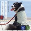 中大型犬用COOL+MOSCAPEメッシュプリントタンク接触冷感防蚊