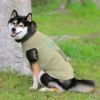 柴犬10.9kg(首42/胴58/丈43cm)のかんたくんはペールカーキのLarge-Sを着用