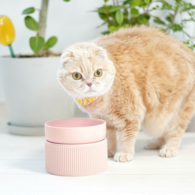 IDOG&ICAT pelpas ペルパ マットカラーシンプルフードボウル