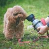 ペットボトル1本以上がたっぷり入る