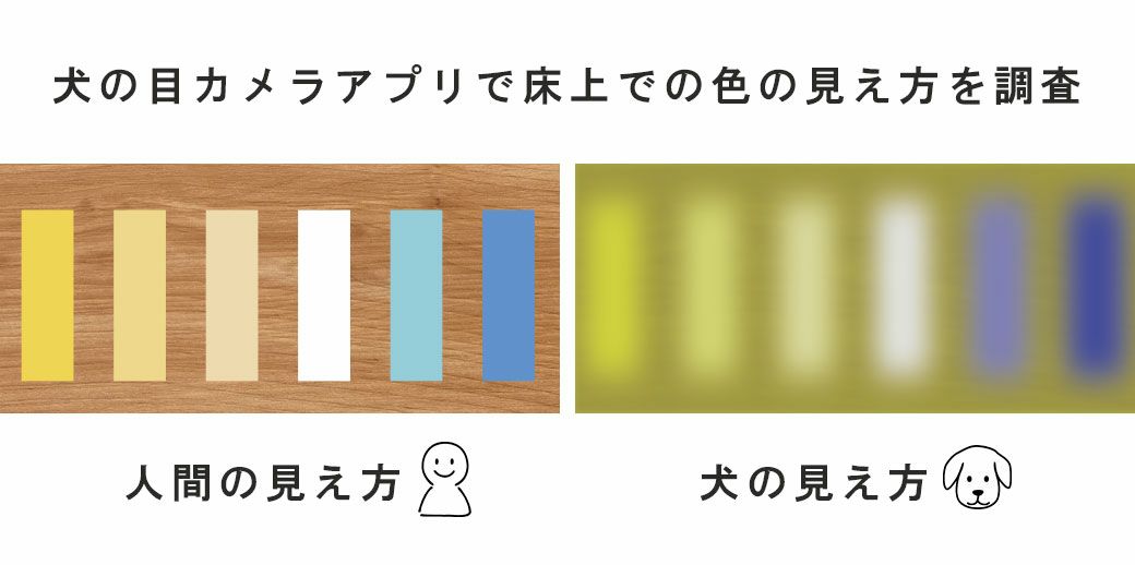 ワンちゃんの視界