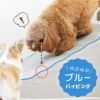 犬の視認性に合わせたカラー