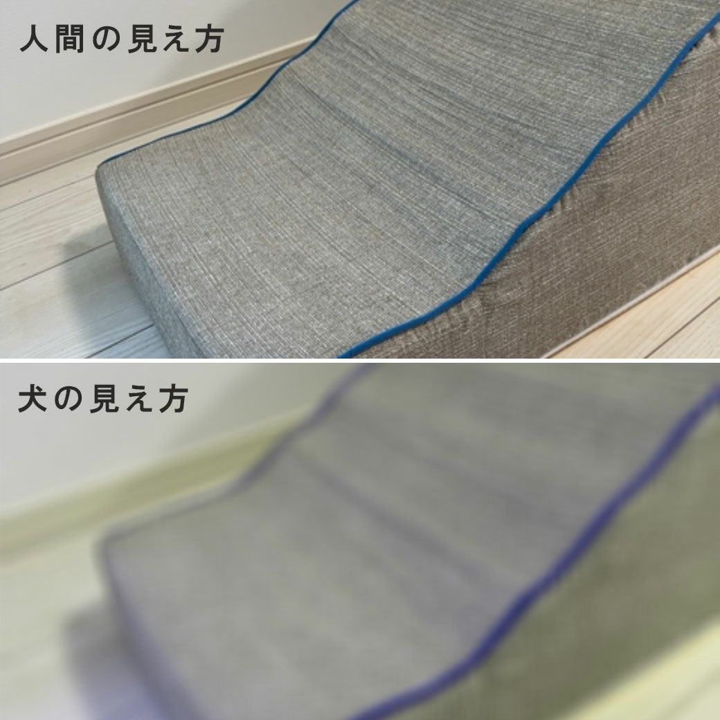 視界イメージ