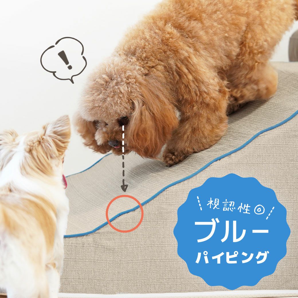 犬の視認性に合わせたカラー
