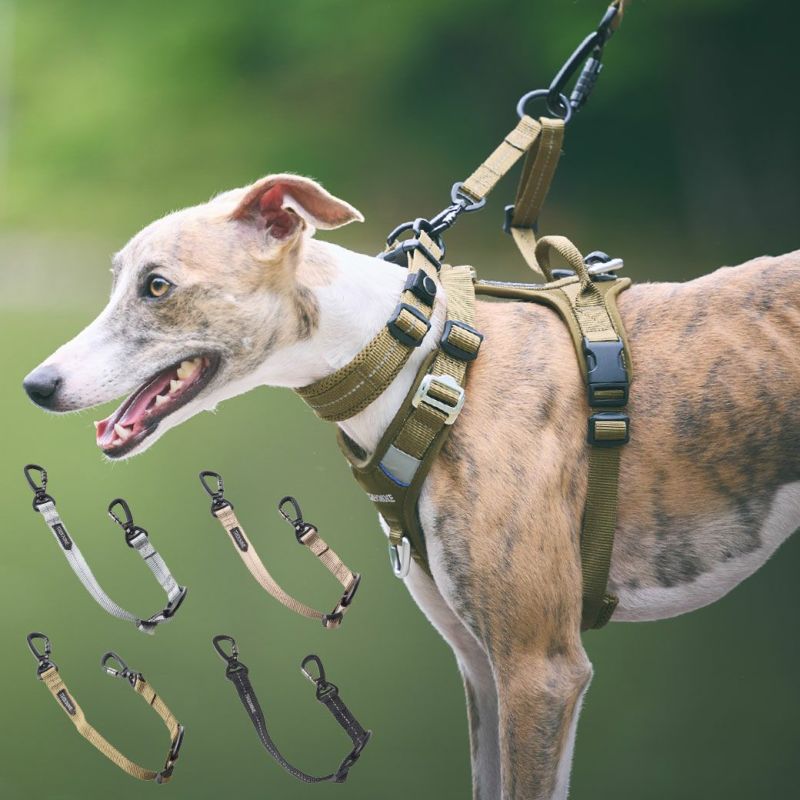 000000003374-11-l.jpg?t=