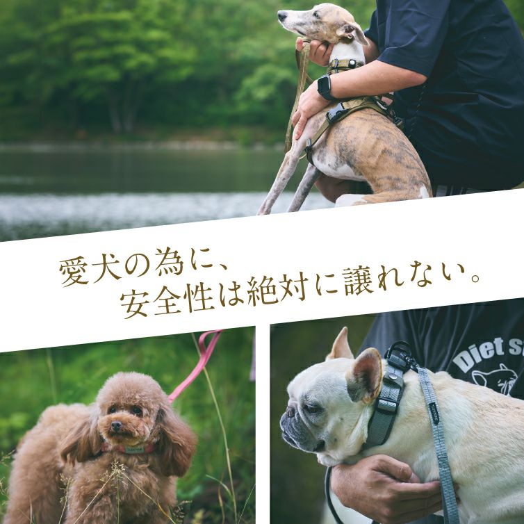 iDog TREKNINE|カラー|ダブルリングメッシュパッド M/Lサイズ