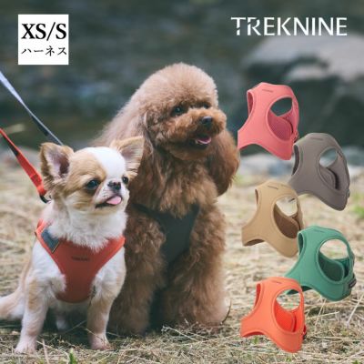 新品 グッチ インターロッキングG ドッグ ハーネス ペット用 散歩 Sサイズ 犬 ハーネス 】iDog TREKNINE ハーネス コンフォートAIR ベスト XS/S